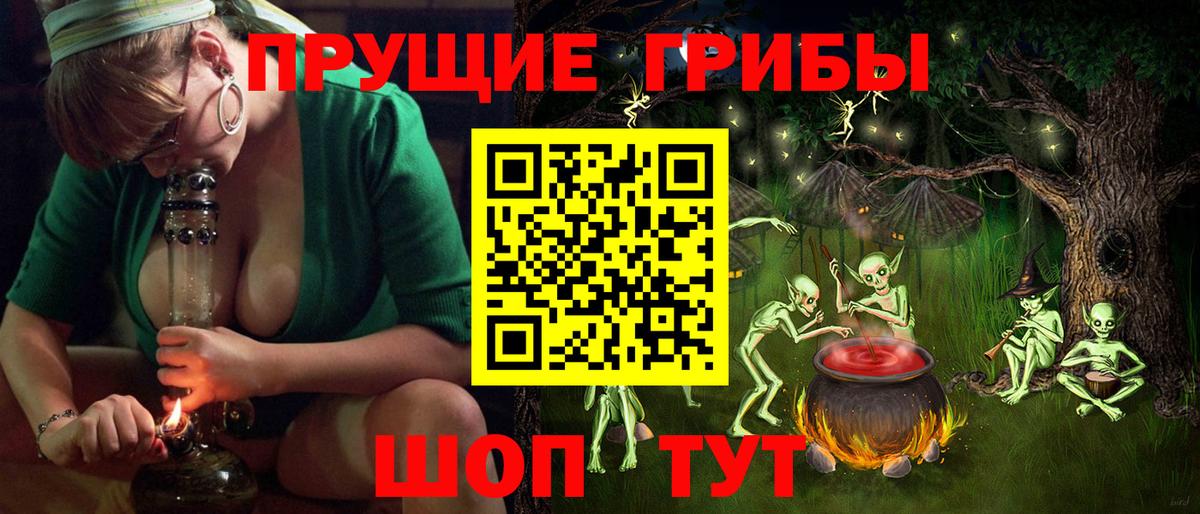 Нарткала  Псилоцибиновые грибы GOLDEN TEACHER  Псилоцибиновые грибы ЛСД  Вход с VPN 